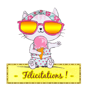 Gif animé félicitations chat